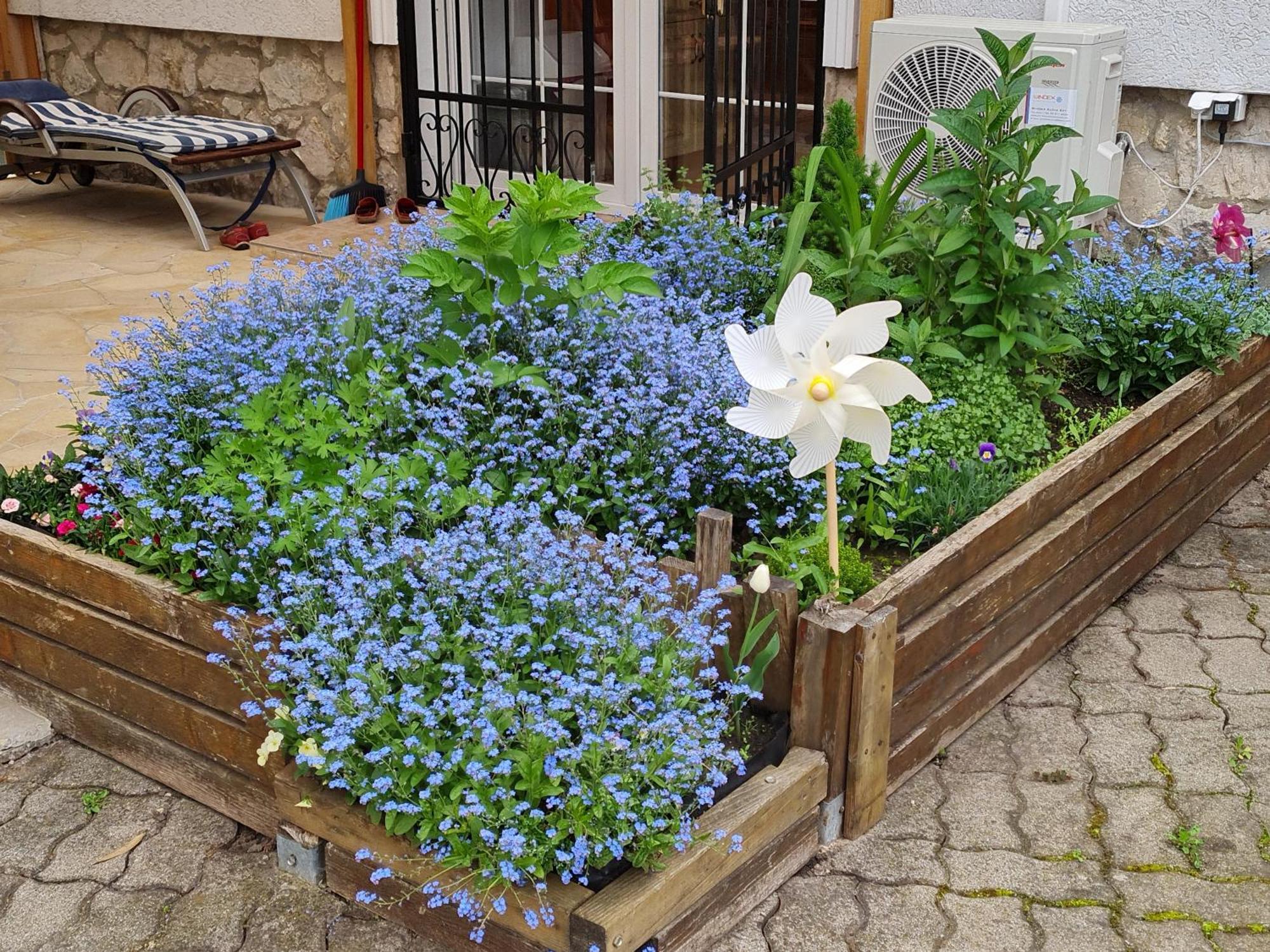 Ginger House Apartment Keszthely Bagian luar foto